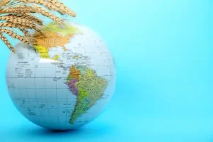 Global Food Security